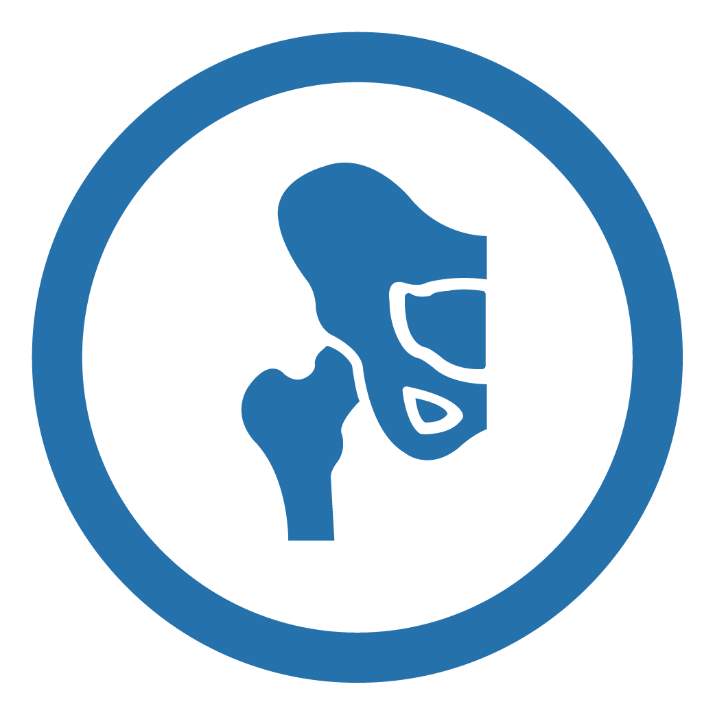 THA Icon Blue circle with a drawn solid image of hip