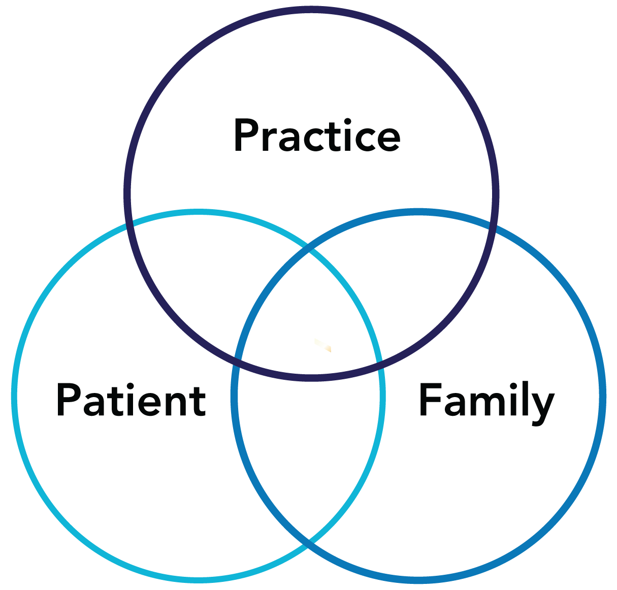 Venn diagram with practice on top, family on the right and patient on the left